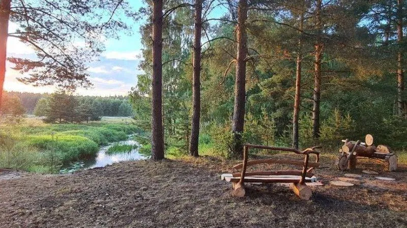 В конкурсе по благоустройству мест отдыха в лесах Подмосковья победило Орехово-Зуевское лесничество