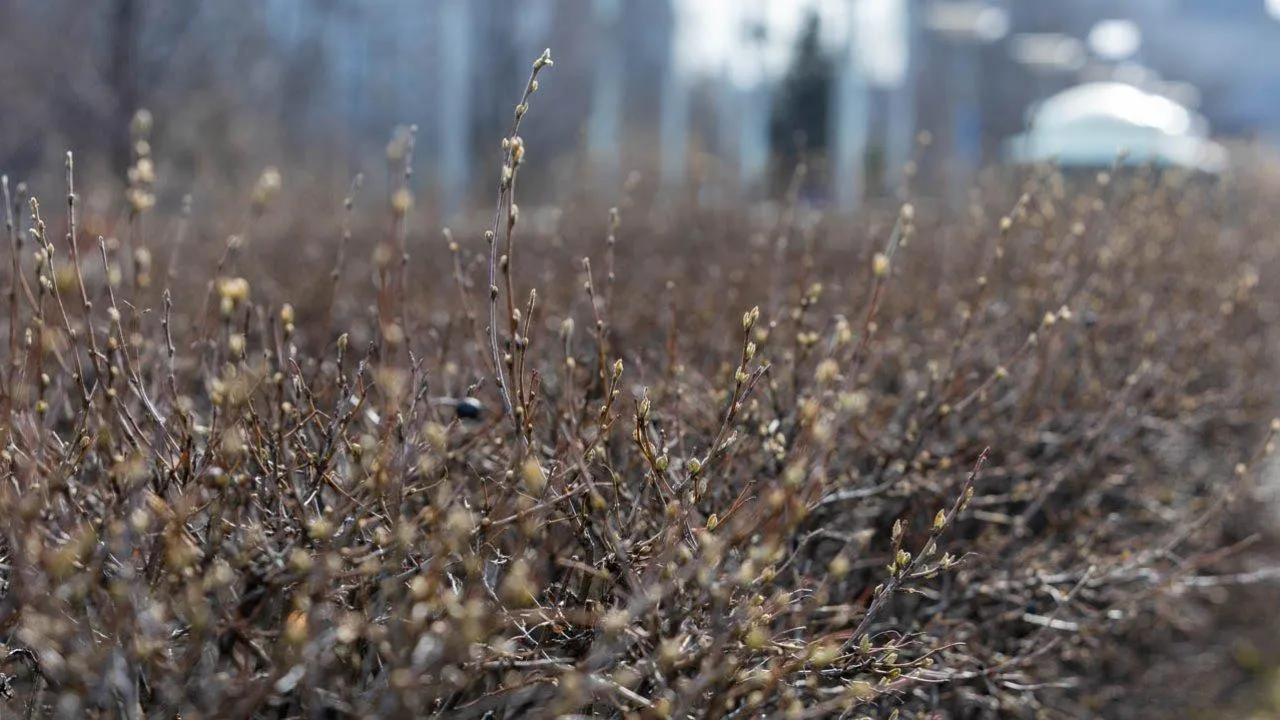 REGIONS/Роман Малышенко
