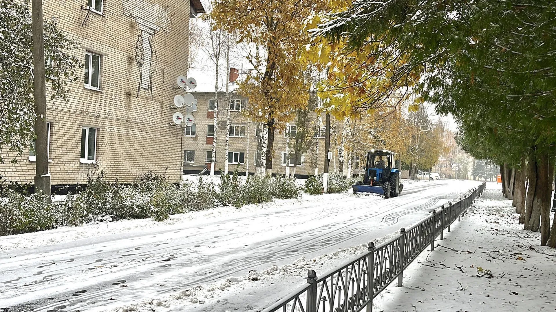 Фото: Дарья Московцева