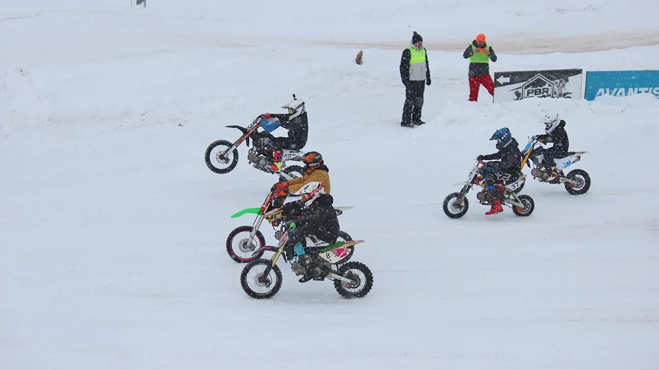 Владимир Гуськов