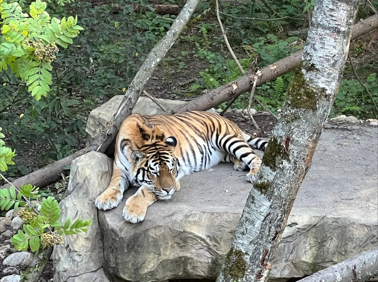 Фото: REGIONS/Татьяна Кордюкова