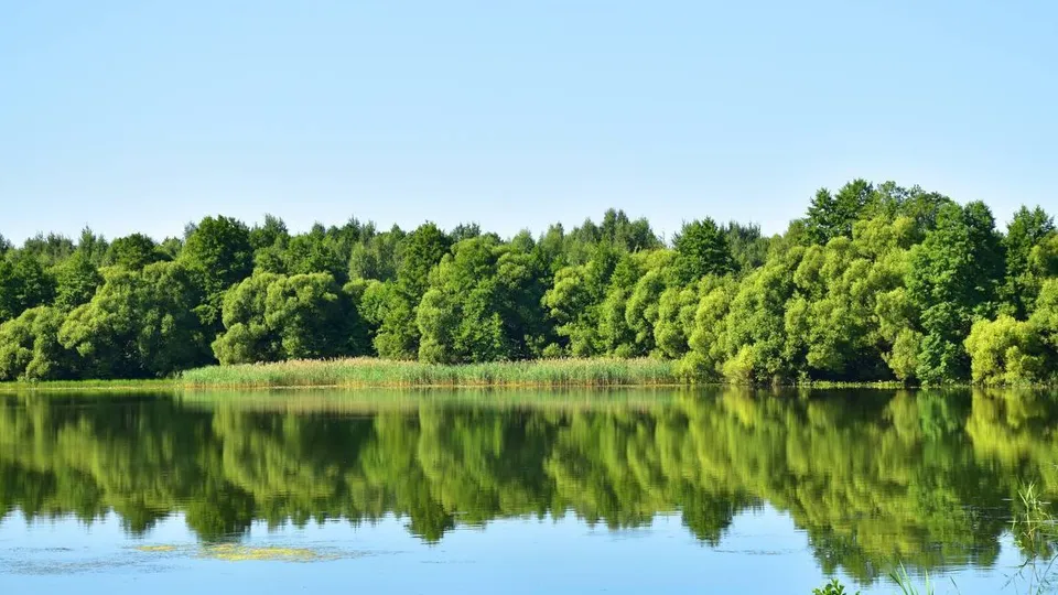 Фото: пресс-служба администрации городского округа Шатура