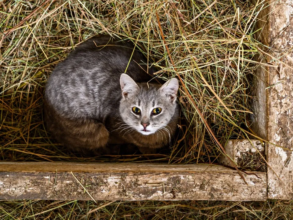 Фото: медиасток.рф