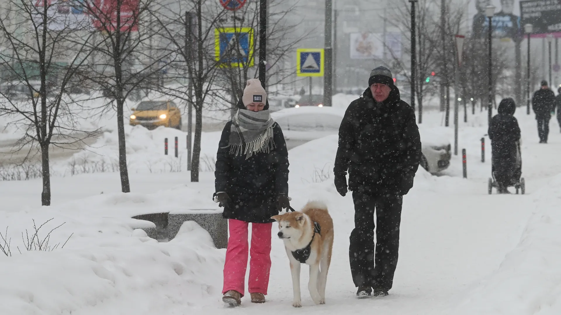 медиасток.рф