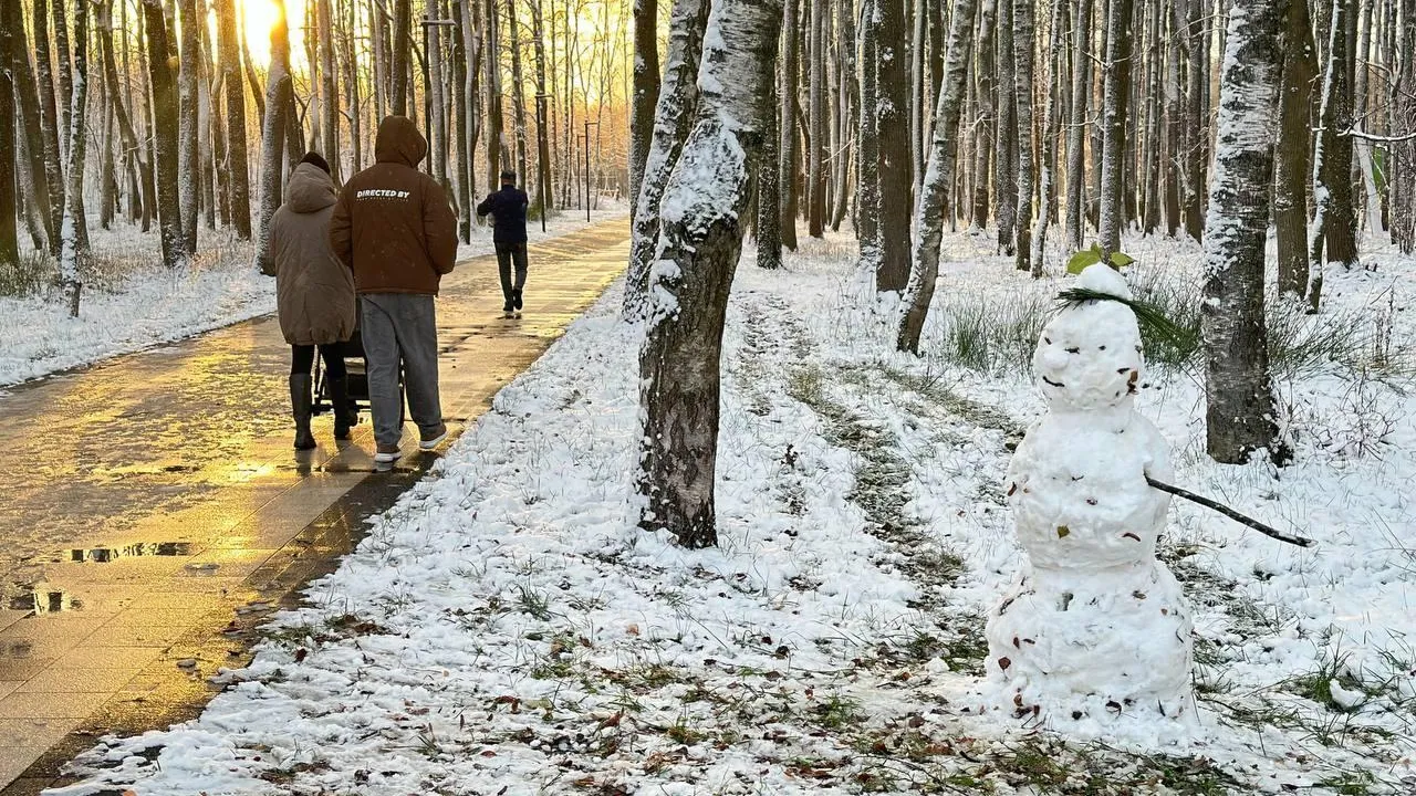 Министерство благоустройства МО