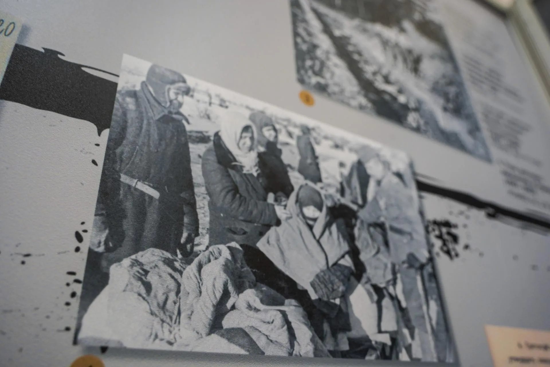 Фото: Анастасия Хренкова