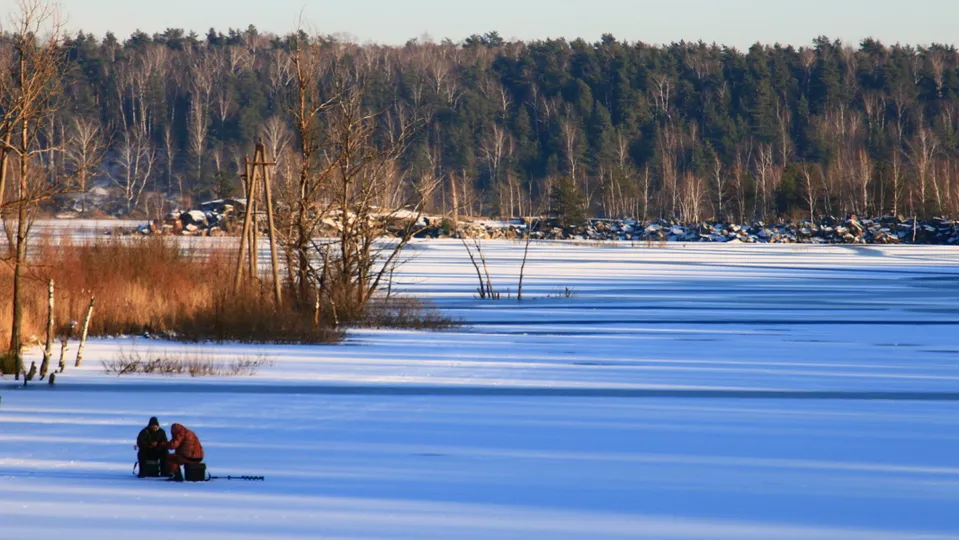 Фото: Алексей Грызлов