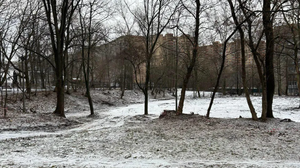 Фото: Комитет по архитектуре и градостроительству Московской области