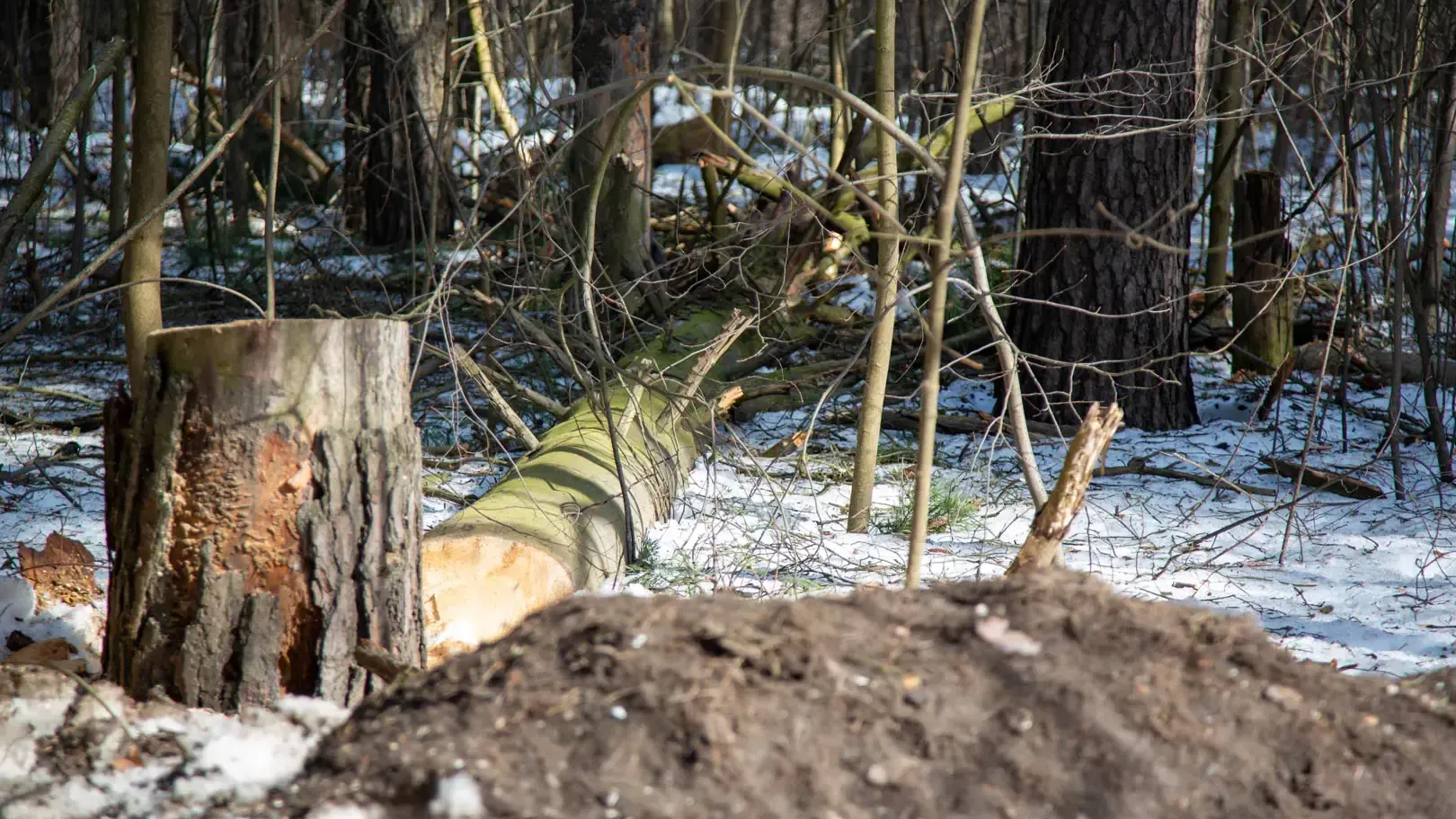пресс-служба администрации ЗАТО Звездный городок