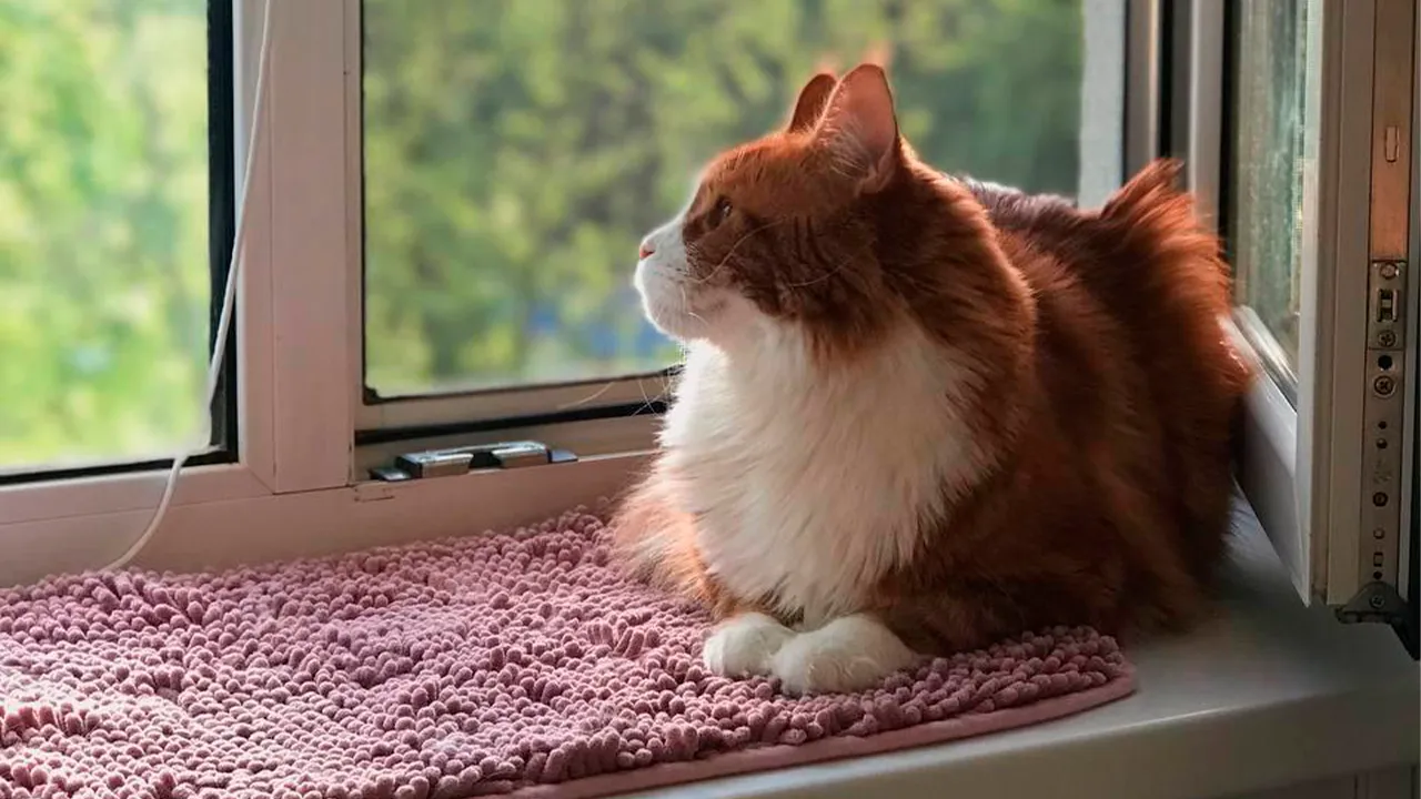 архив семьи Маркиных