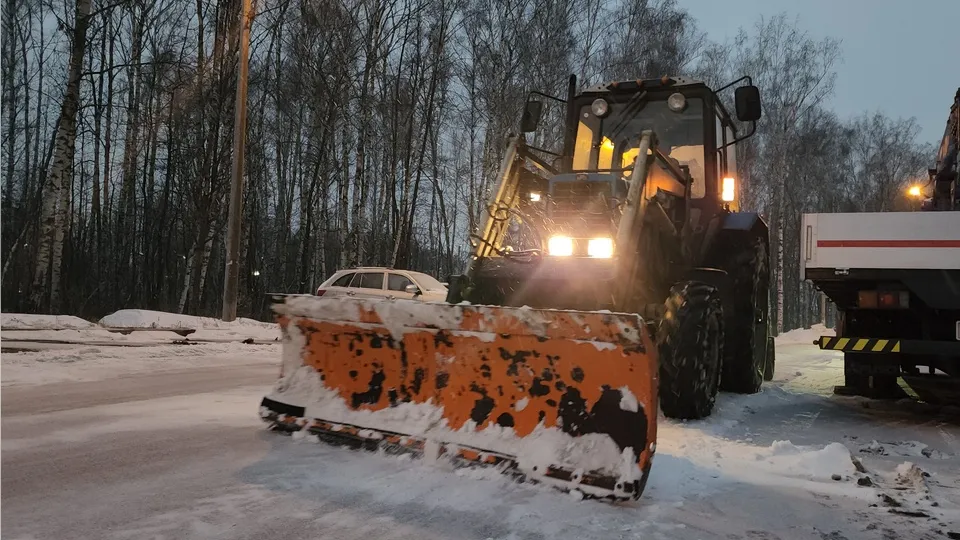 Фото: МедиаБанк Подмосковья/Елизавета Приймак
