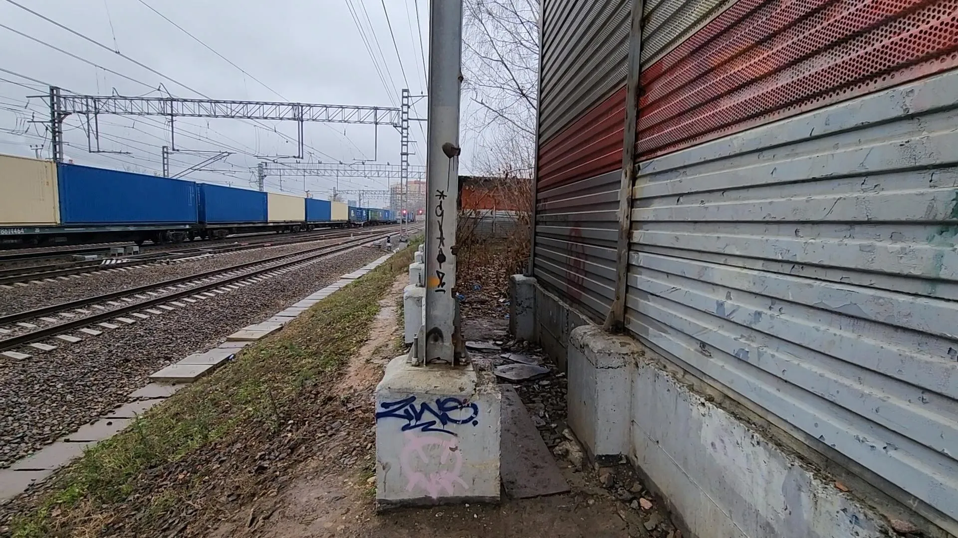 Сморкалов Никита