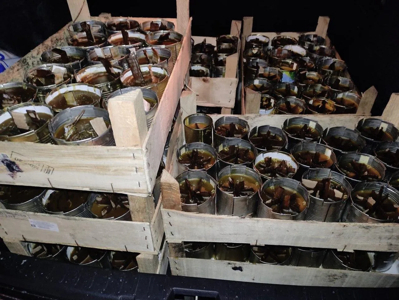 Министерство социального развития Московской области