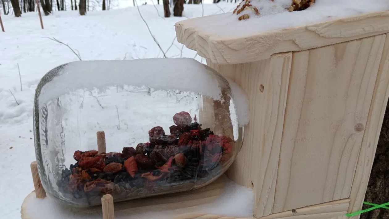 Фото: Объединенная дирекция парков г.о Долгопрудный