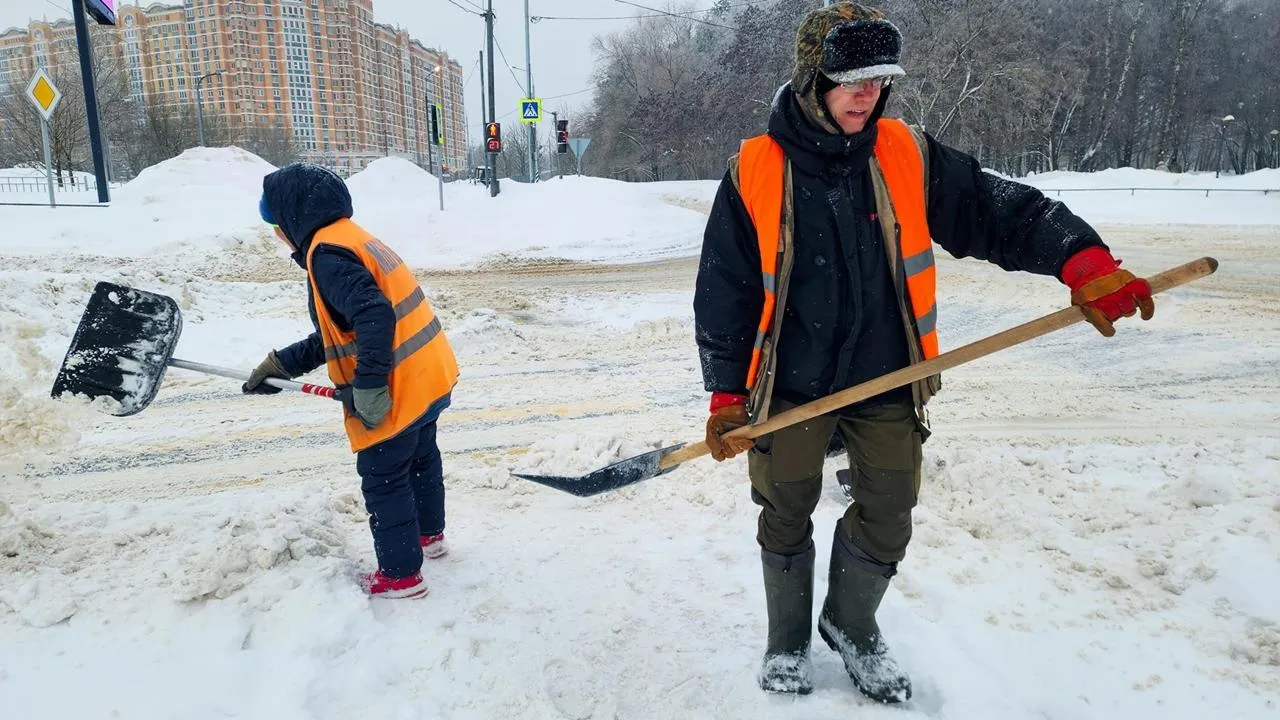 REGIOINS/Мария Панина
