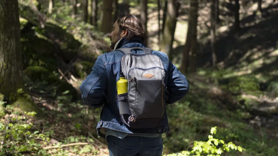 Фото: freepik.com