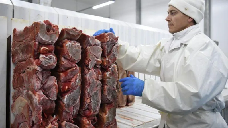 В прошлом году Подмосковье вывезло на экспорт 128 тысяч тонн животной продукции