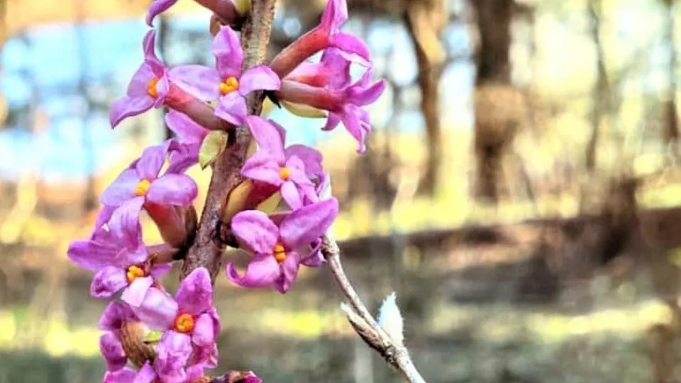 Фото: пресс-служба администрации г.о. Клин