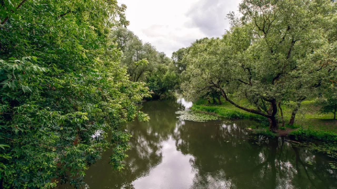 «Вода умирает»: экологи сообщили о загрязнении водоемов Тюменской области