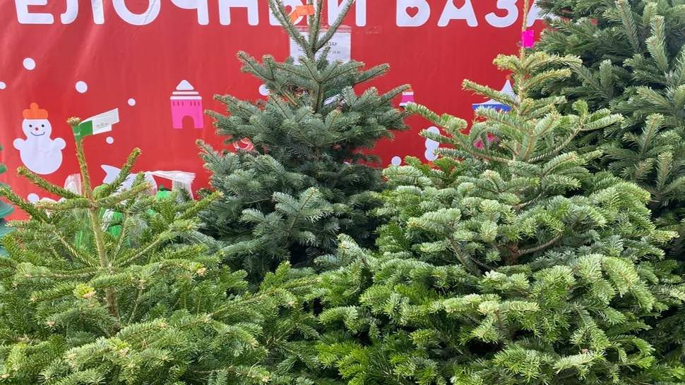 Фото: МедиаБанк Подмосковья/Дарья Шапочкина