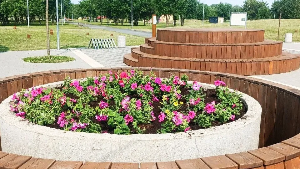 Фото: t.me/brolug