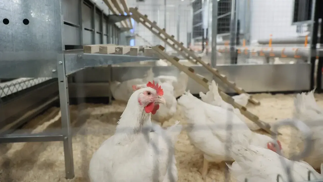 Фото: пресс-служба губернатора Московской области