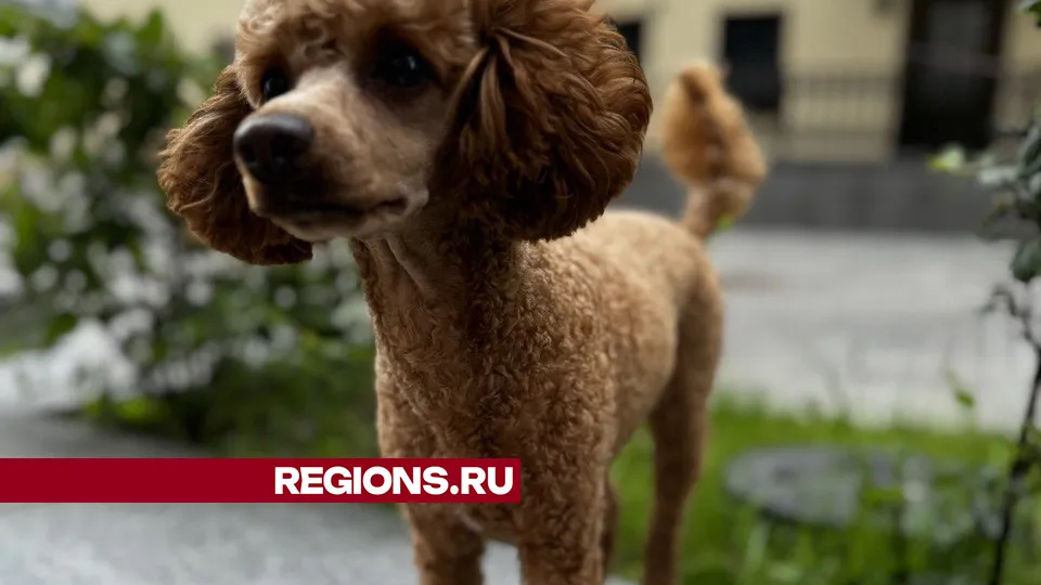 Фото: личный архив Алины Белостоцкой