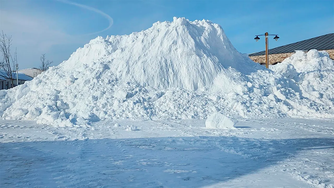 Маргарита Орлова