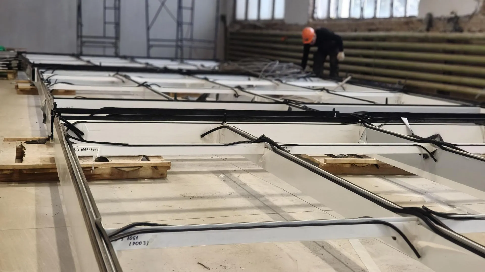 REGIONS/Сергей Орлов