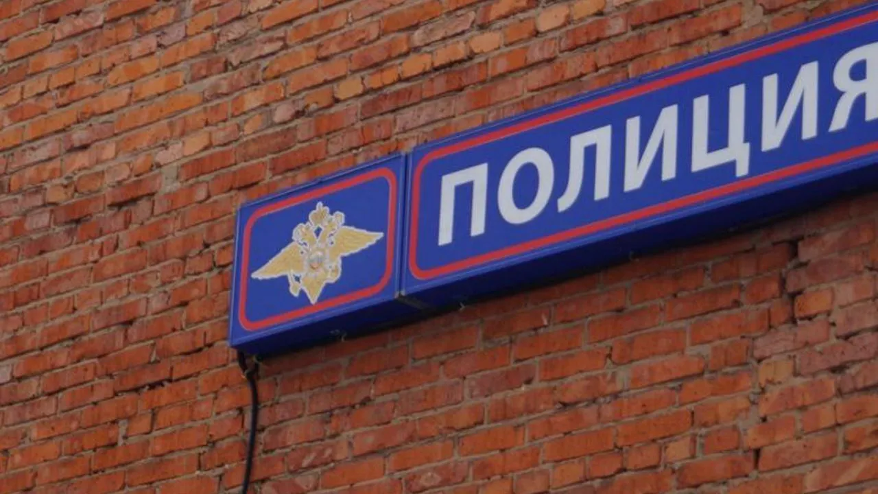 Фото: ОМВД Талдомского г.о.