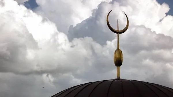 из открытых источников