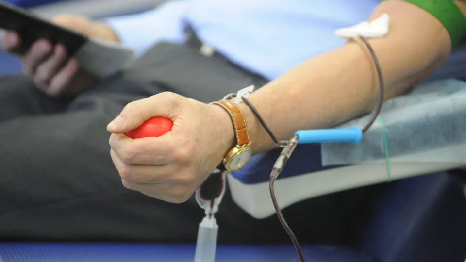 Фото: медиасток.рф