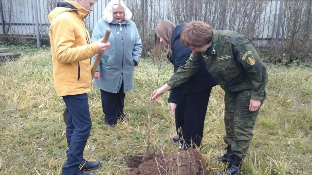 Фото: Комитет лесного хозяйства МО