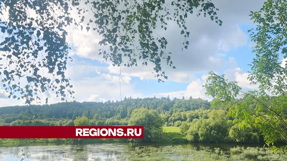 Фото: Хавива Фонина