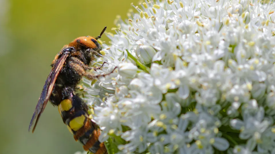 Фото: unsplash.com