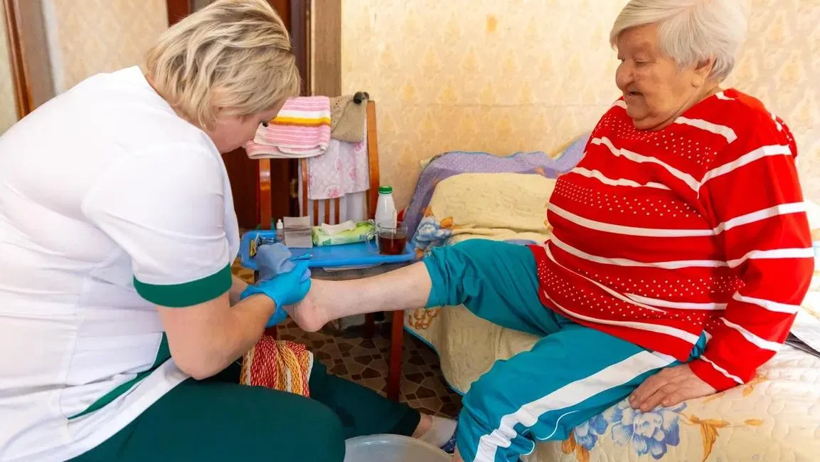 Алена Жамкова