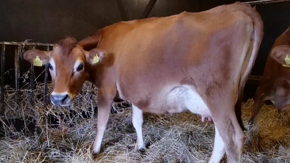 Фото: Министерство экономики и финансов Московской области