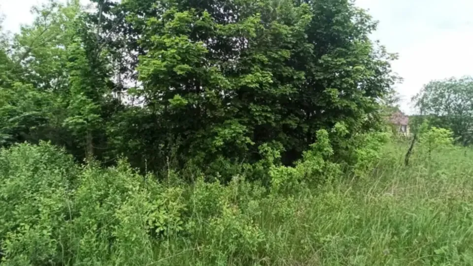 Фото: Комитет по конкурентной политике МО