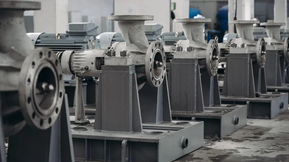 Фото: пресс-служба администрации г.о. Щелково