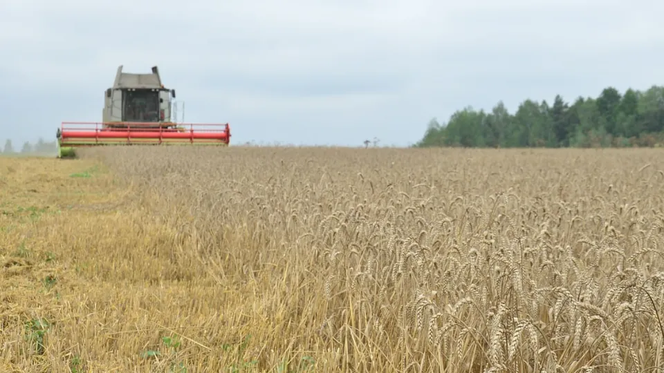 Фото: администрация м.о. Шатура