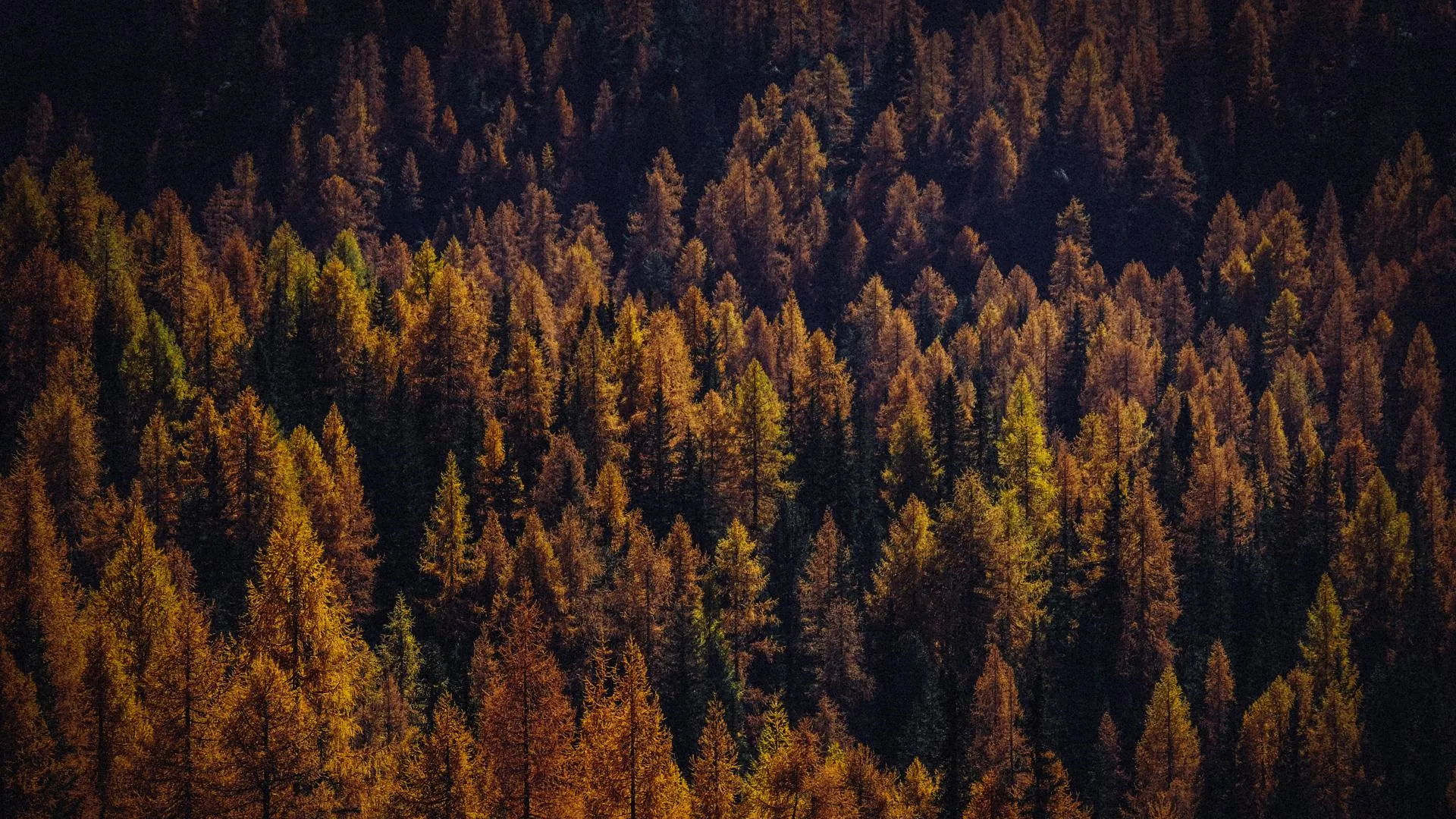 Изображение от wirestock на Freepik