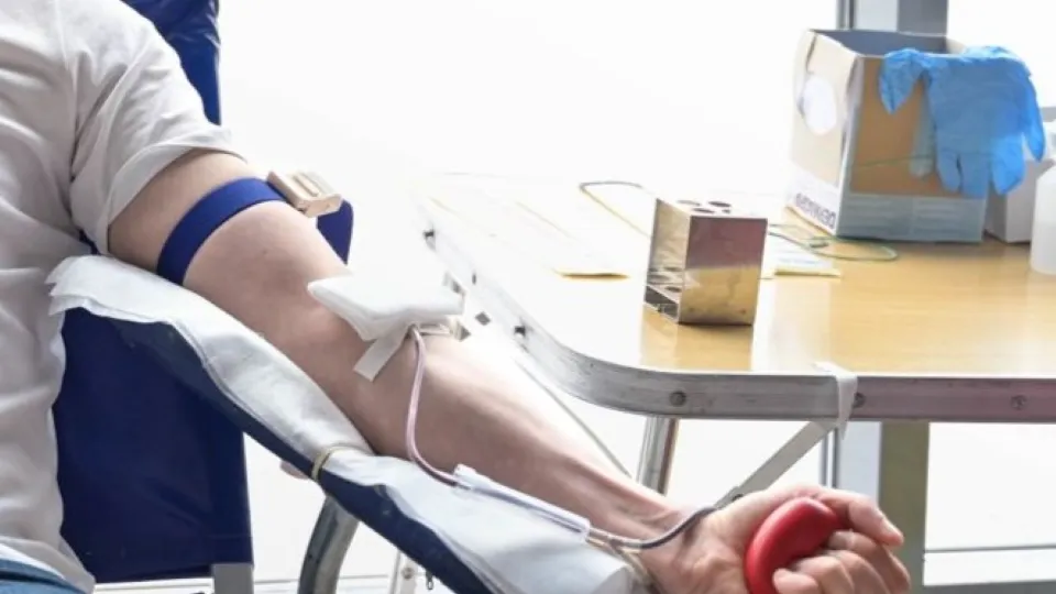 Фото: МедиаБанк Подмосковья/Анастасия Сараева