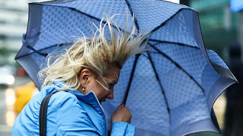 Фото: ТАСС/Михаил Терещенко