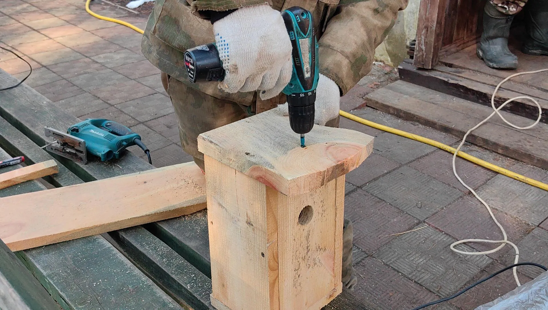 Елена Катасонова