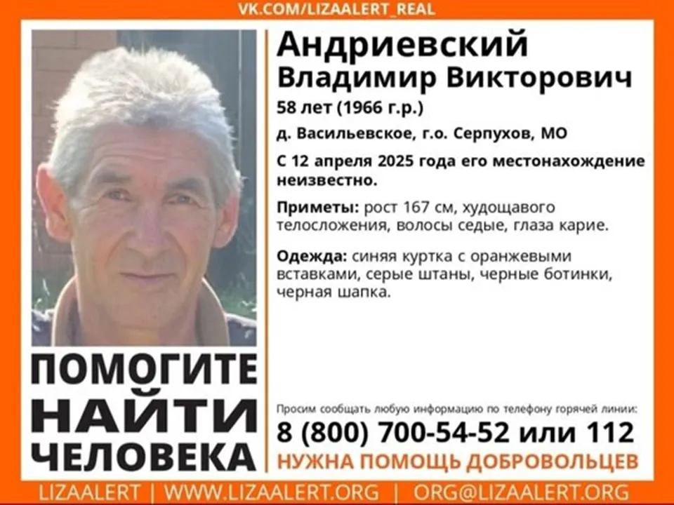 Фото: ДПСО «Лиза Алерт»