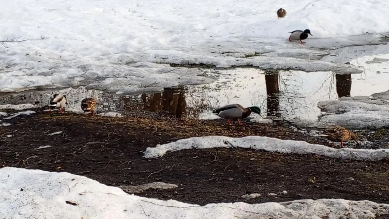 REGIONS/Василий Тремасов