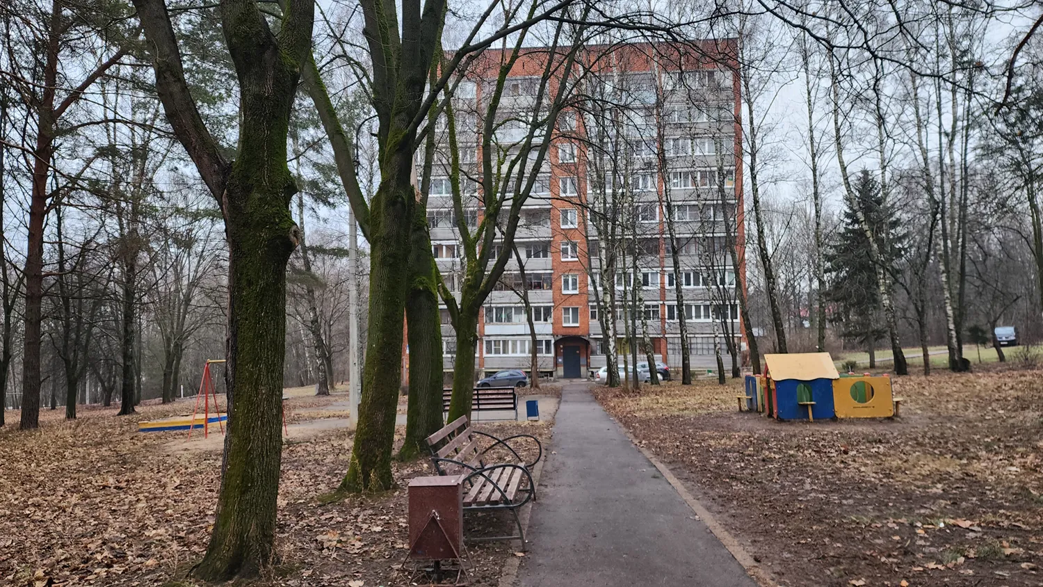 Фото: МедиаБанк Подмосковья/Мария Панина