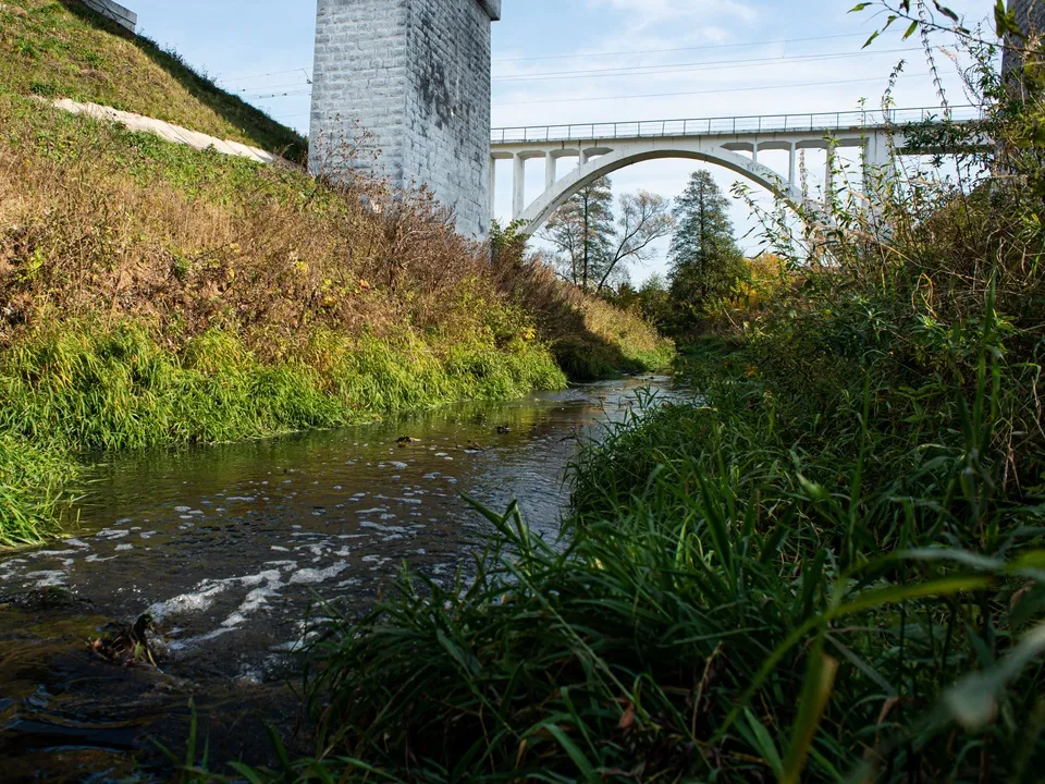 Фото: медиасток.рф