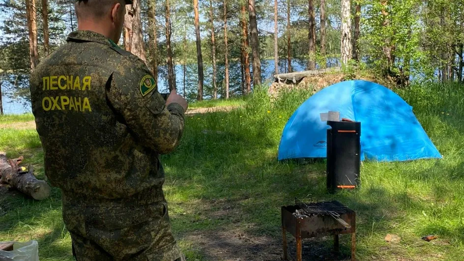 Фото: Комлесхоз МО