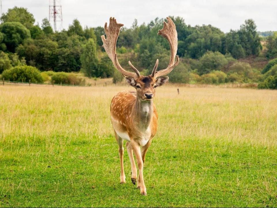 Фото: медиасток.рф
